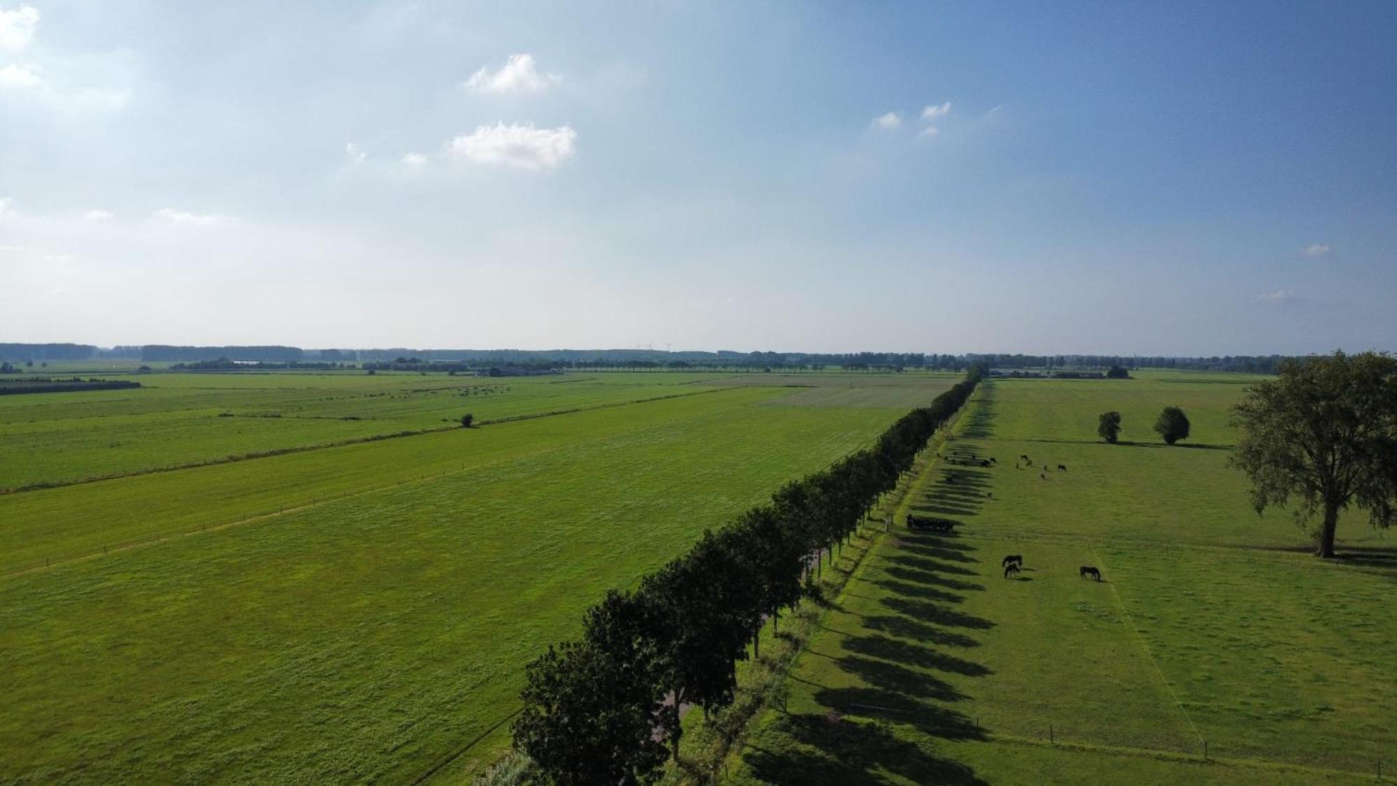 Landelijke Huis In De Betuwe Tricht Bagian luar foto